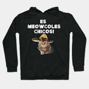 Es Meowcoles Chicos! Hoodie